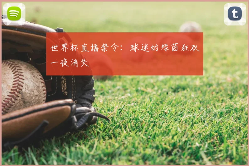 世界杯直播禁令：球迷的绿茵狂欢一夜消失
