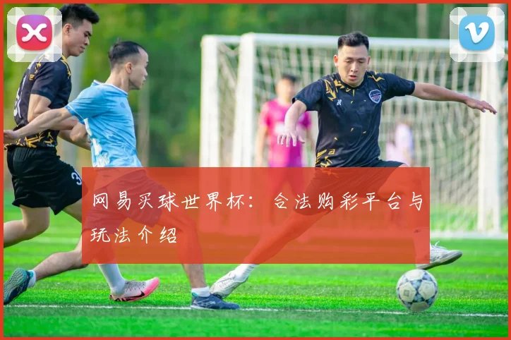 网易买球世界杯：合法购彩平台与玩法介绍