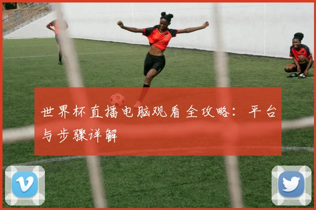 世界杯直播电脑观看全攻略：平台与步骤详解