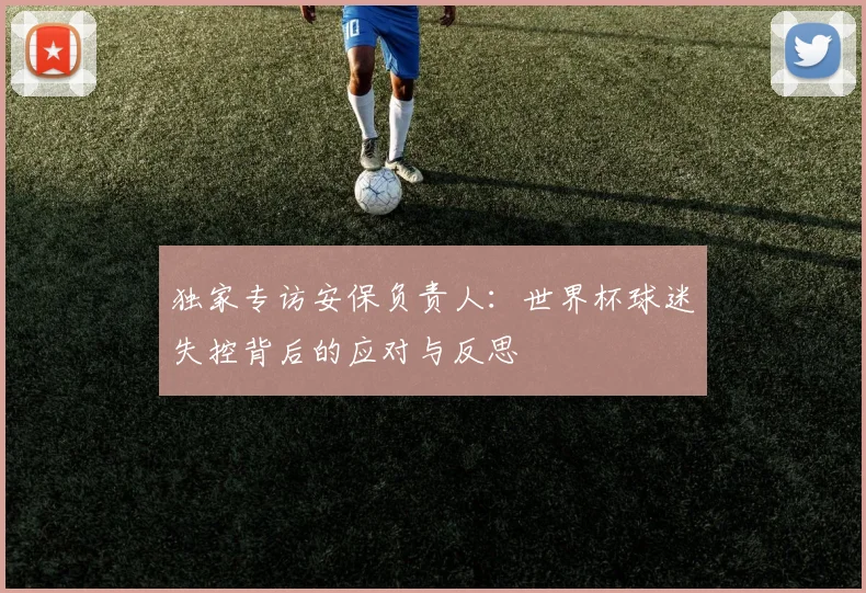 独家专访安保负责人:世界杯球迷失控背后的应对与反思