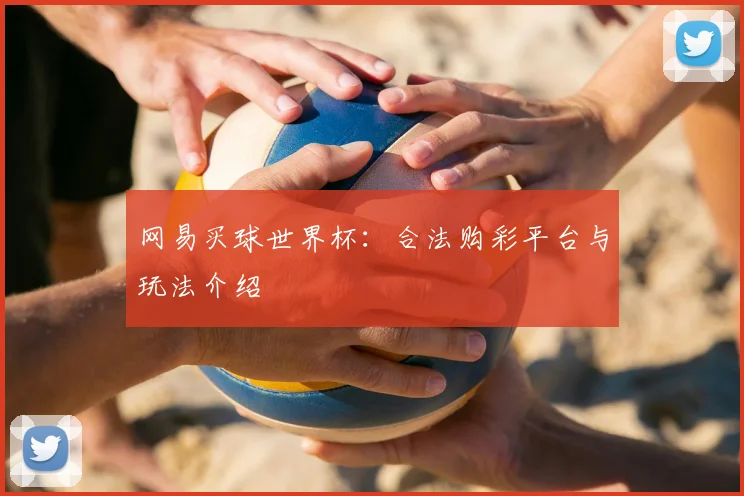 网易买球世界杯：合法购彩平台与玩法介绍
