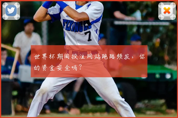 世界杯期间投注网站跑路频发,你的资金安全吗?
