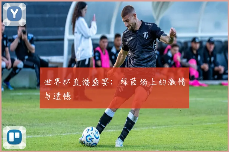 世界杯直播盛宴：绿茵场上的激情与遗憾