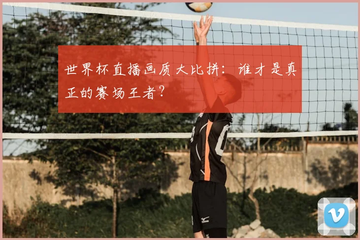世界杯直播画质大比拼：谁才是真正的赛场王者？