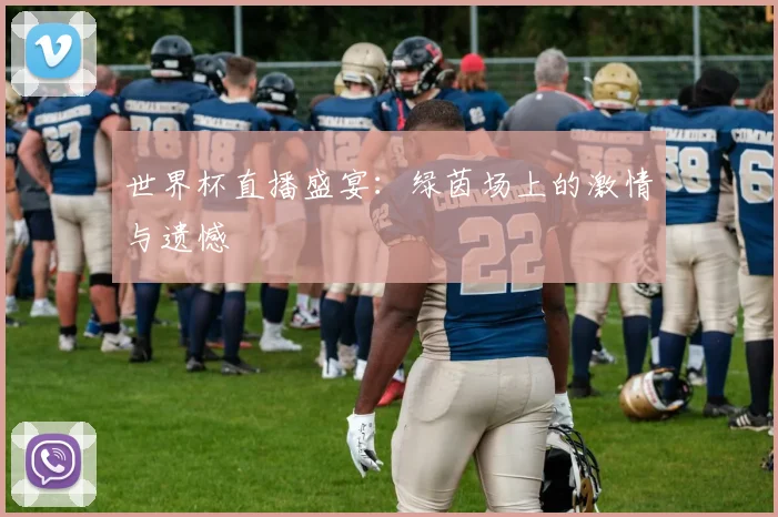 世界杯直播盛宴：绿茵场上的激情与遗憾