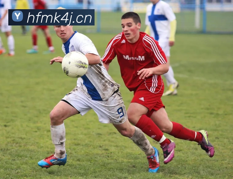 多媒体互动体验